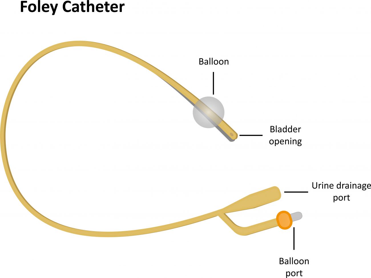 Foley's Catheterization Services